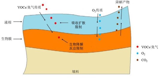 工业污水废气特点及恶臭治理技术